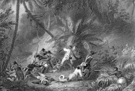 Dschungelkampf auf Haiti