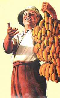 Bananen ein gutes Geschäft